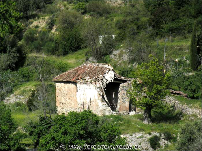 Iglesia de Ntra.Sra.del Rosario (Paterna del Río - Almería)